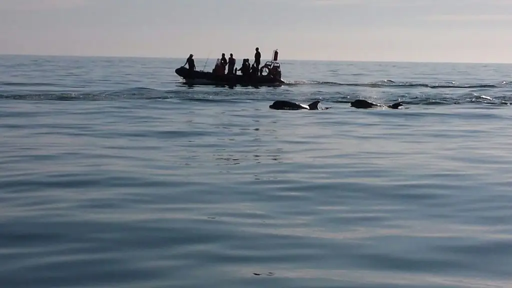 Power boat instructor course