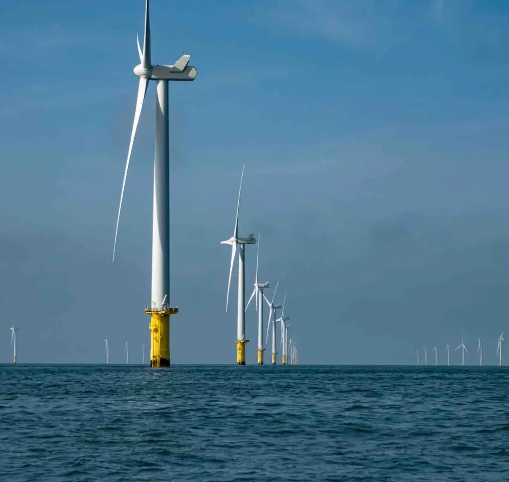 wind_farm_trip_brighton
