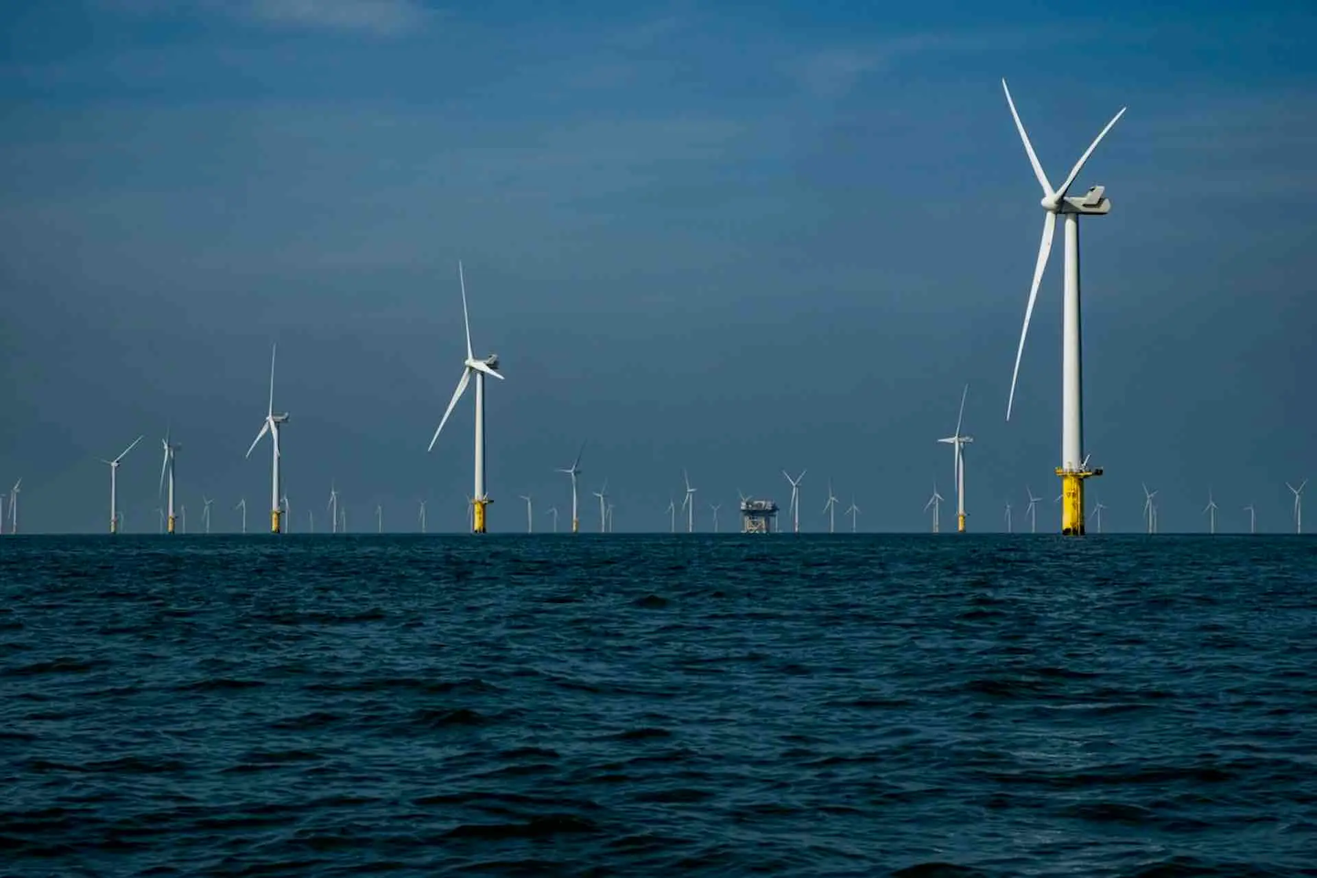 wind_farm_trip_brighton_2025