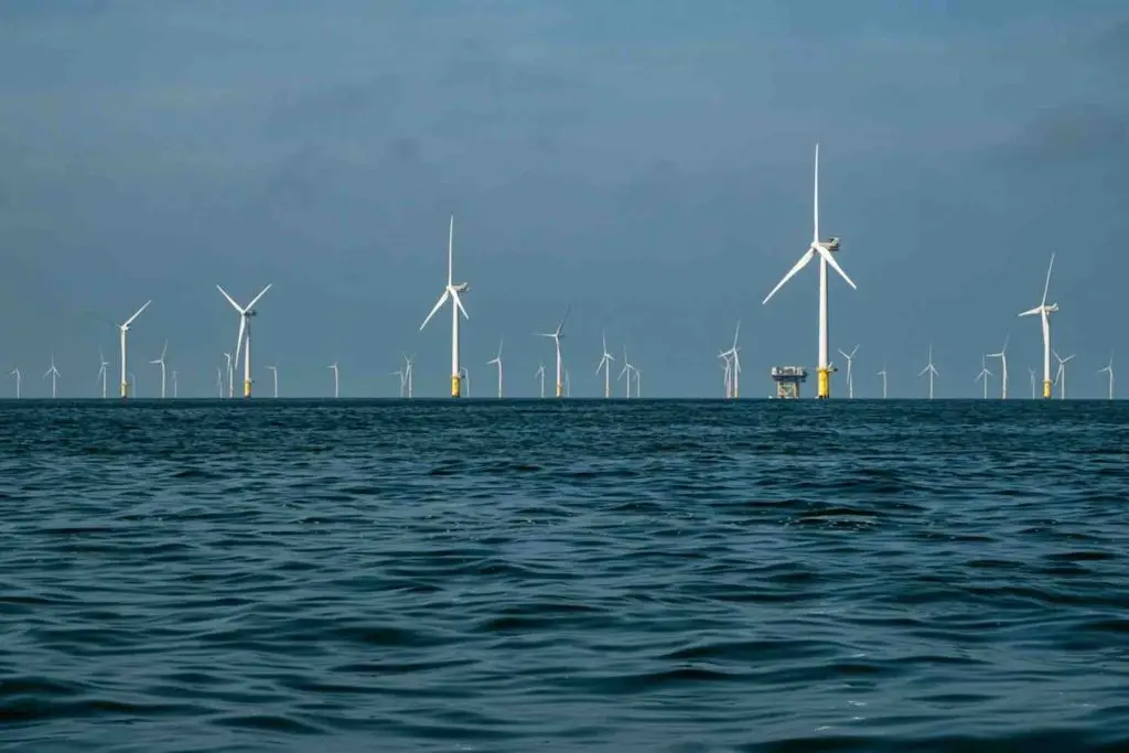 wind_farm_trip_tour-bighton